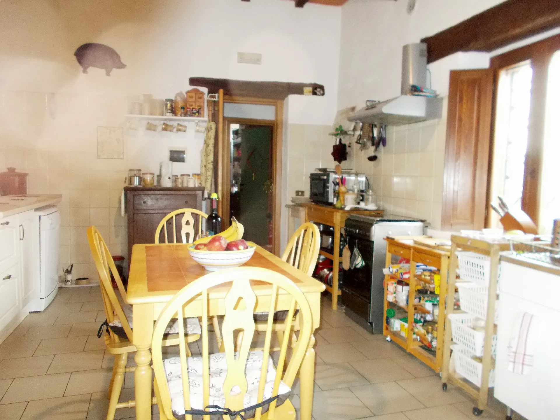 Quiet person to feed and care for cat in Umbrian country house photo 2