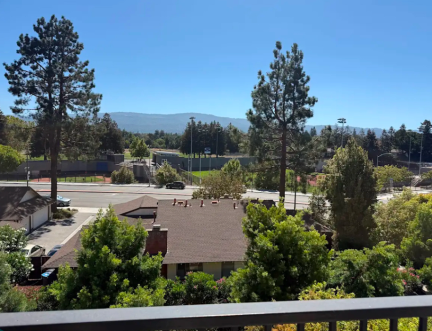 Trusted House Sitter Needed for Home & Pets photo 4