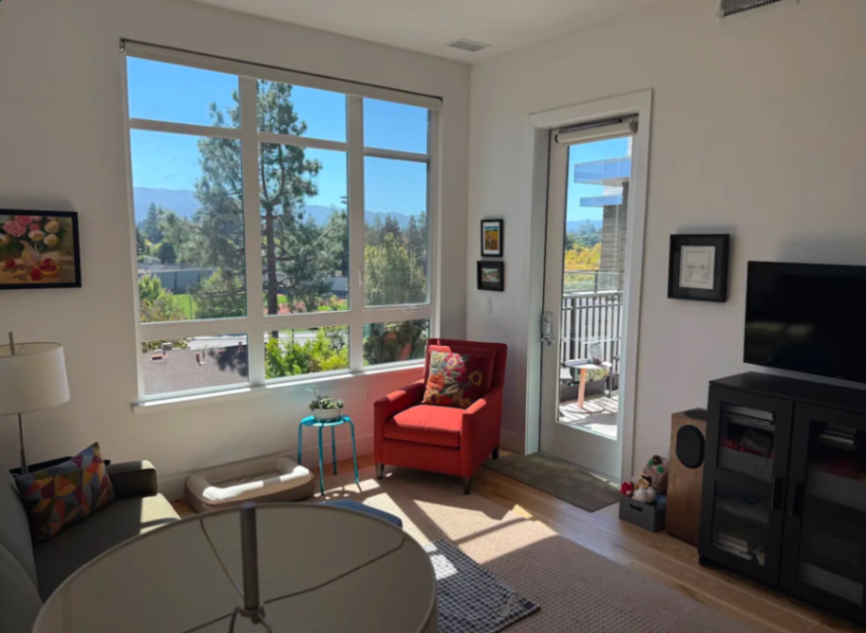 Trusted House Sitter Needed for Home & Pets photo 3