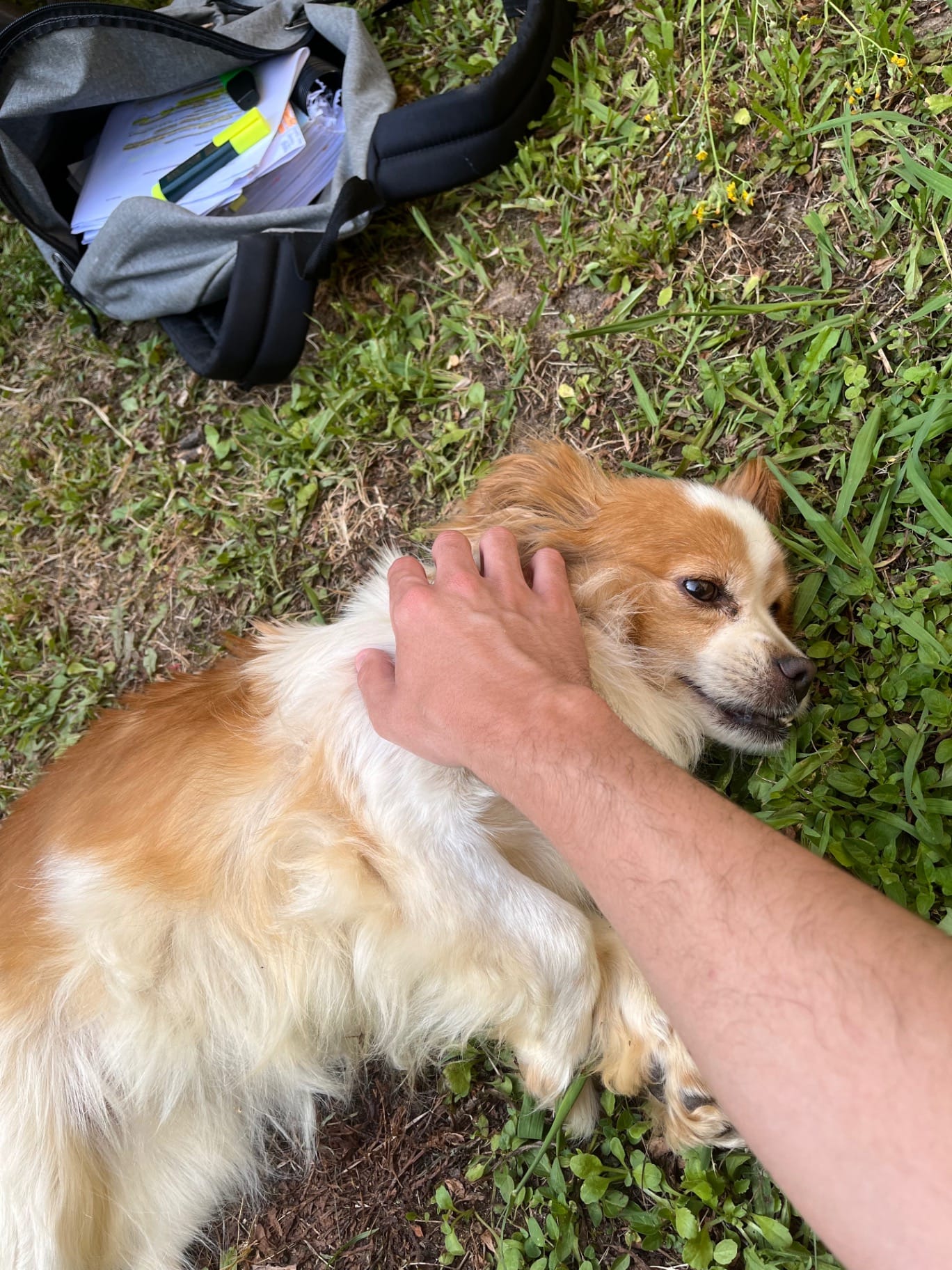 Iago Heredia photo 2