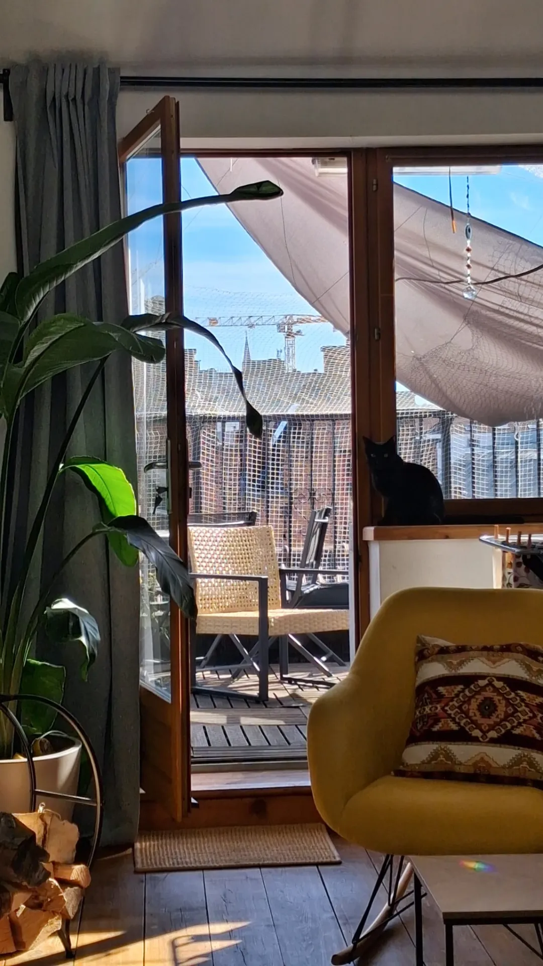 Brussels, Belgium photo 5