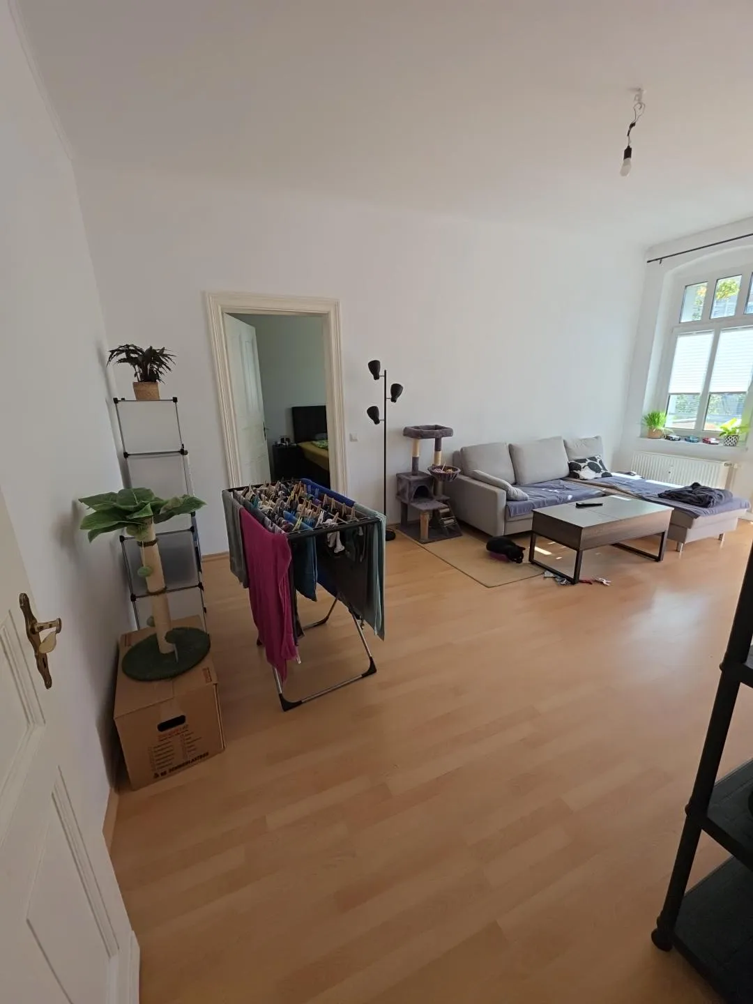 Cozy, central apartment and a cat photo 2