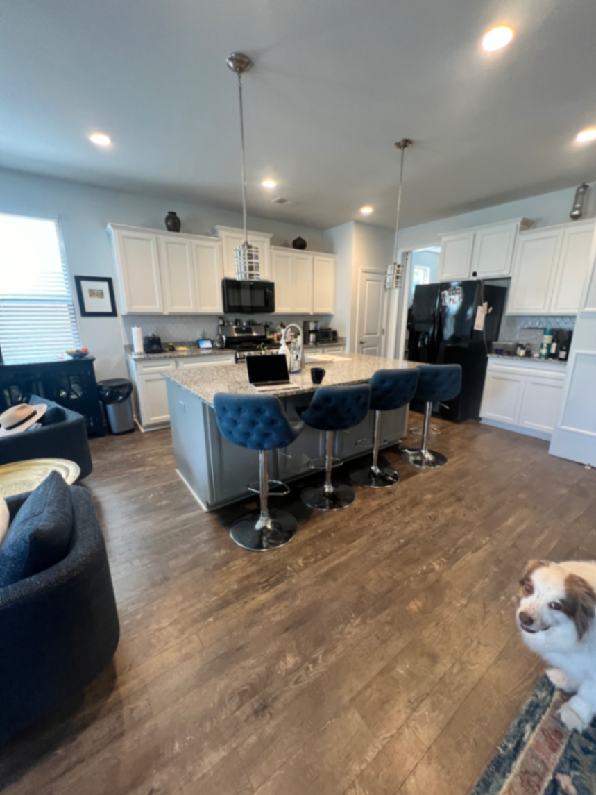 House and dog sit near Charleston, SC - Summer 2027 photo 3