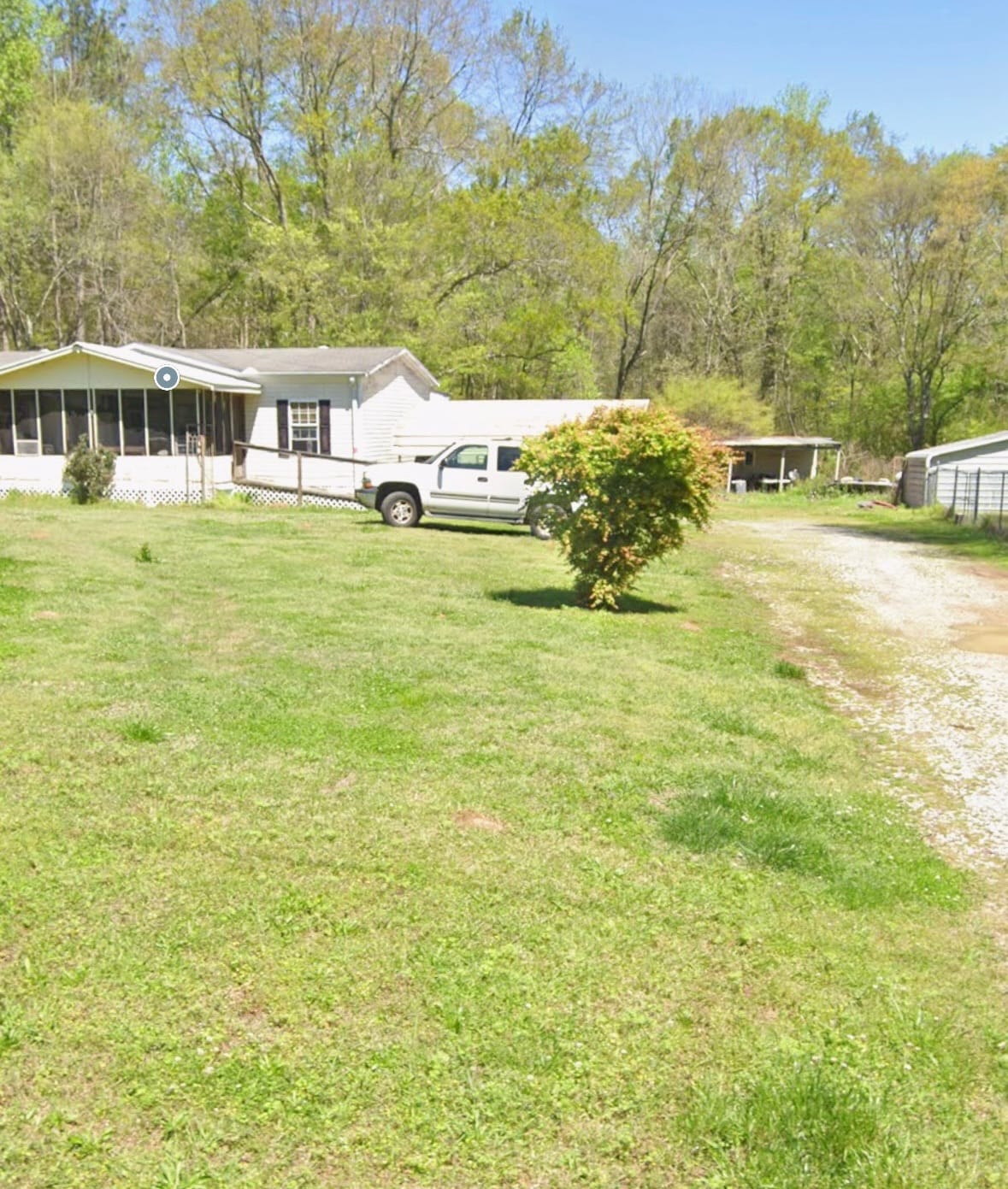 Seeking a Reliable House Sitter photo 3