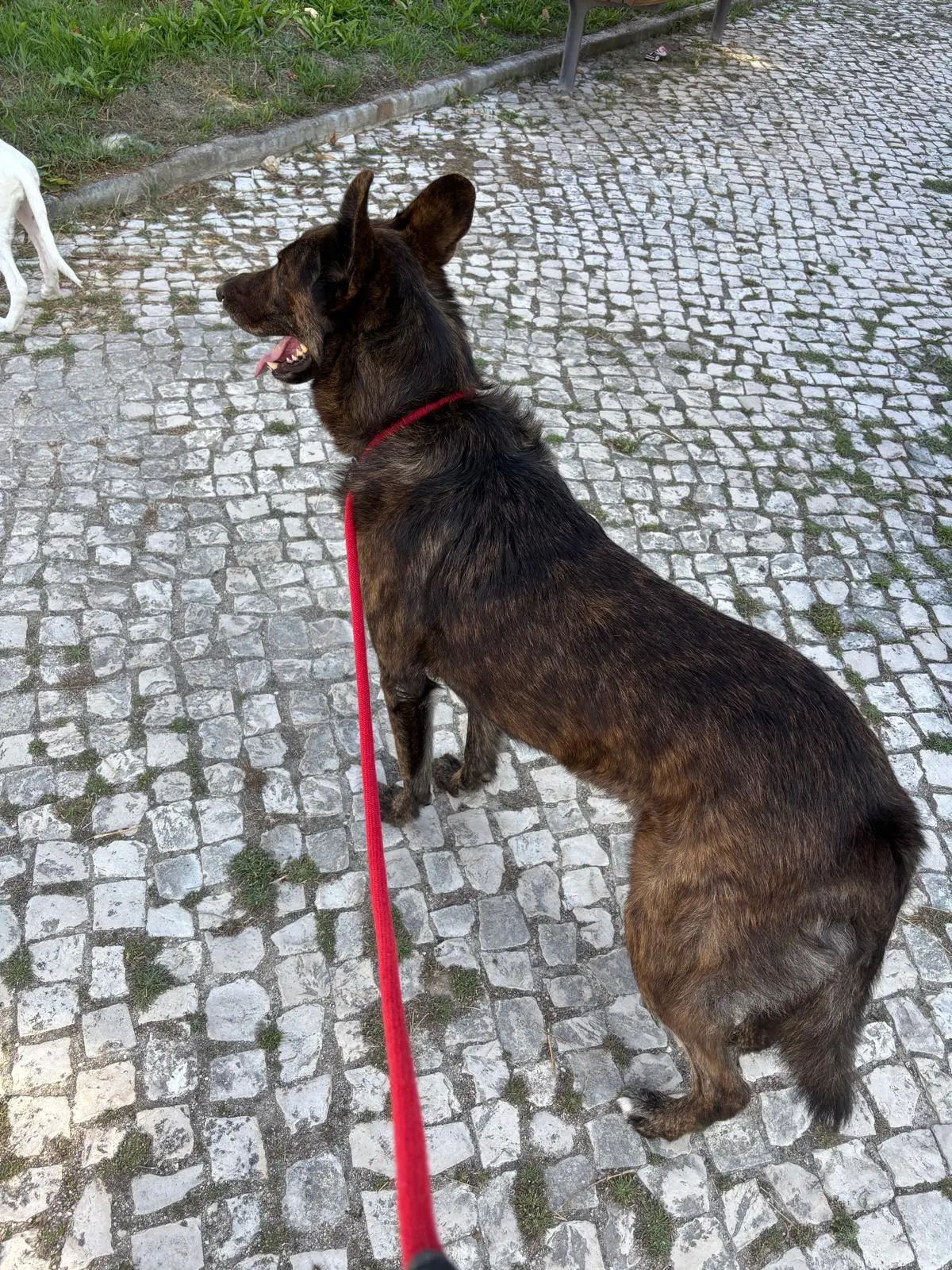 Beatriz photo 2